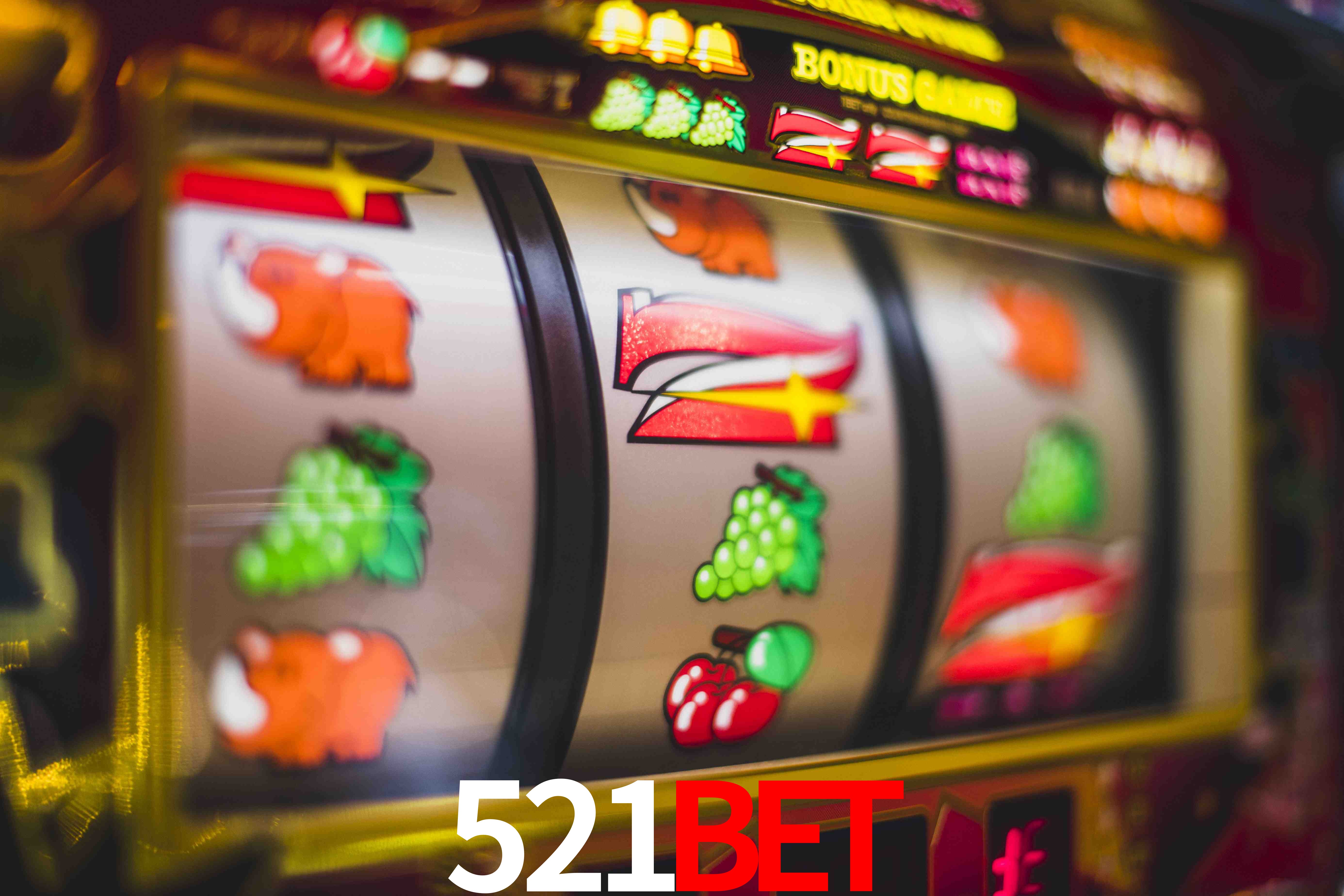 Basketball Betting 521bet